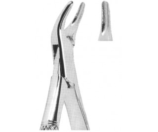Extracting Forceps American pattern